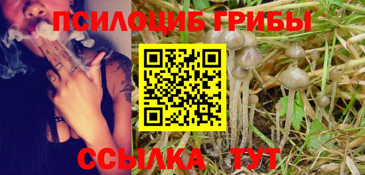 Псилоцибиновые грибы MAGIC MUSHROOMS Якутск